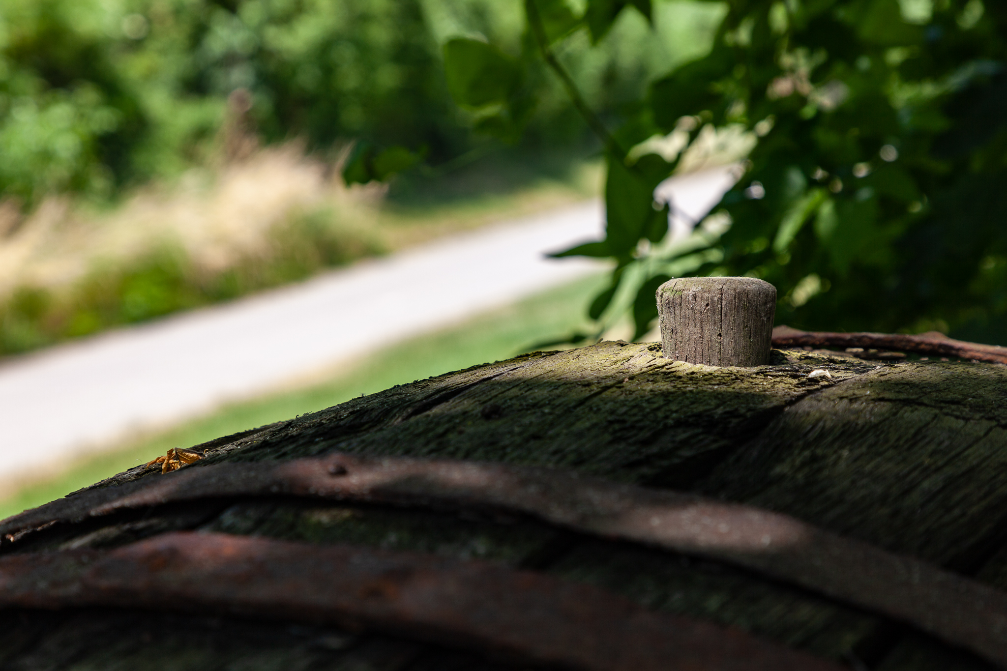 IPA - Fotografieren ist heiss
